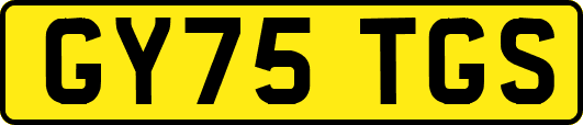 GY75TGS