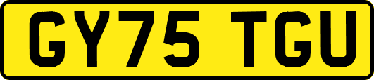 GY75TGU