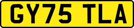 GY75TLA