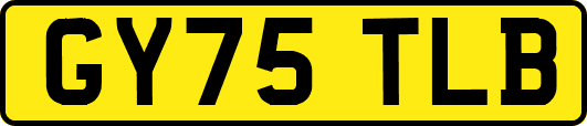 GY75TLB