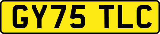 GY75TLC