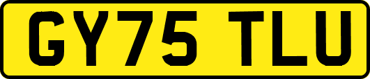 GY75TLU