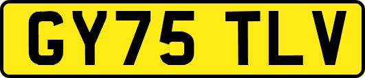 GY75TLV