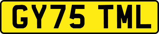 GY75TML