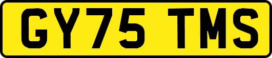GY75TMS