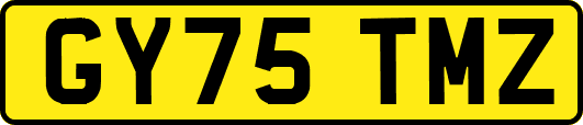 GY75TMZ