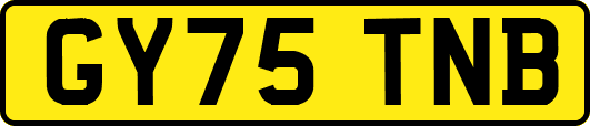 GY75TNB