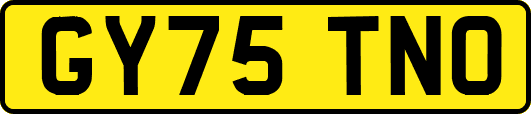GY75TNO