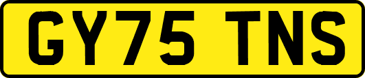 GY75TNS