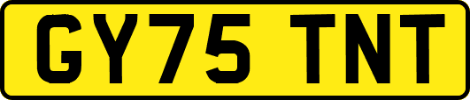 GY75TNT