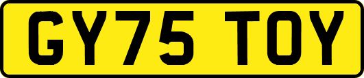 GY75TOY