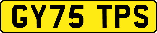 GY75TPS