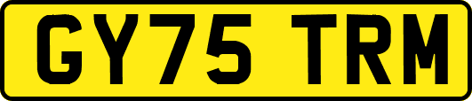 GY75TRM