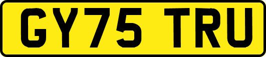 GY75TRU