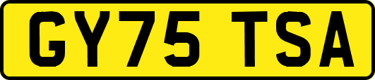 GY75TSA