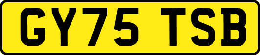 GY75TSB