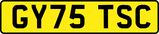 GY75TSC