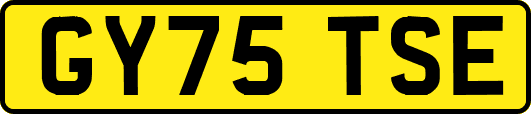 GY75TSE