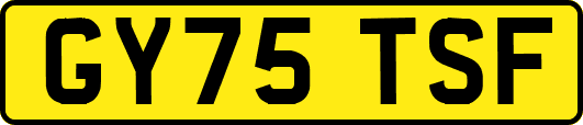 GY75TSF