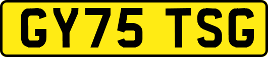 GY75TSG