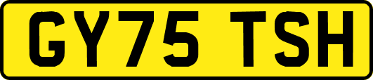 GY75TSH