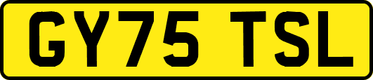 GY75TSL