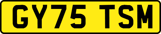 GY75TSM