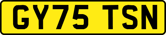 GY75TSN