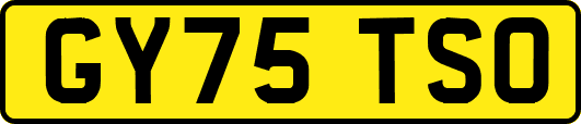 GY75TSO