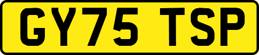 GY75TSP