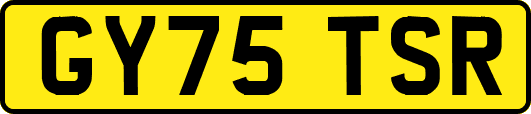 GY75TSR