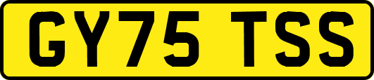 GY75TSS