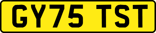 GY75TST