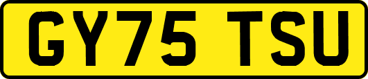 GY75TSU