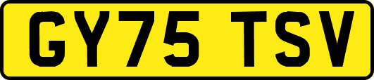GY75TSV
