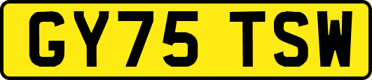 GY75TSW