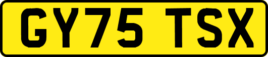GY75TSX