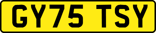 GY75TSY