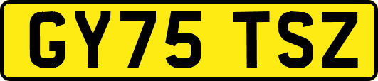 GY75TSZ
