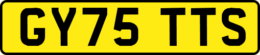 GY75TTS