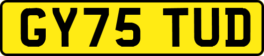 GY75TUD