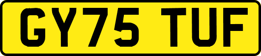GY75TUF