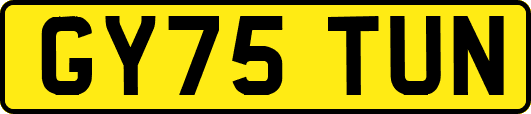 GY75TUN
