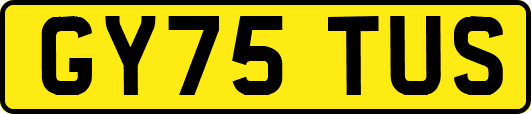 GY75TUS