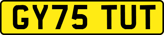 GY75TUT