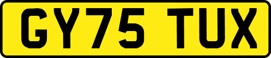 GY75TUX