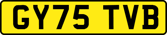 GY75TVB