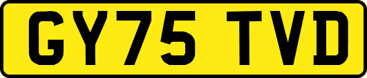 GY75TVD