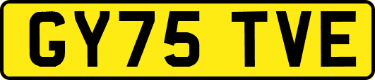 GY75TVE