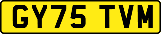 GY75TVM